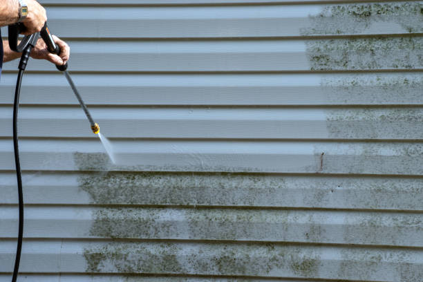 Best Same-Day Junk Removal Services  in Sunrise Manor, NV