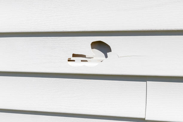 Best Demolition Debris Removal  in Sunrise Manor, NV