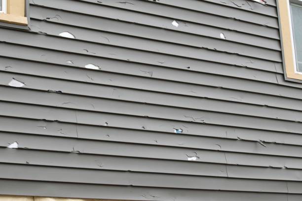 Trusted Sunrise Manor, NV Junk Removal Experts